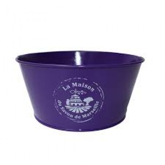 VIOLET VIOLET